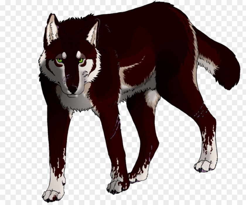 Callous Dog Mammal Canidae Animal Red Wolf PNG