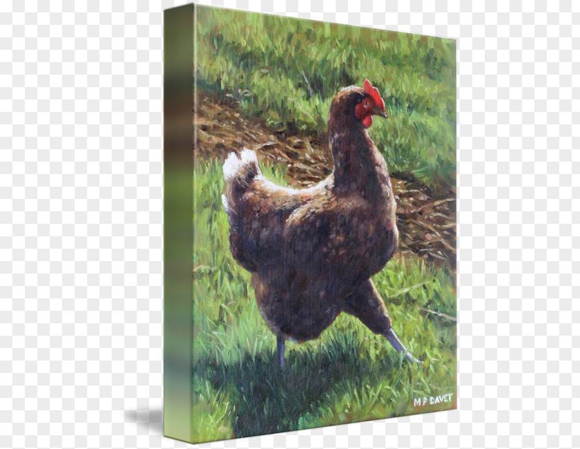 Chicken In Pasture Rooster Printing Oil Painting Reproduction PNG