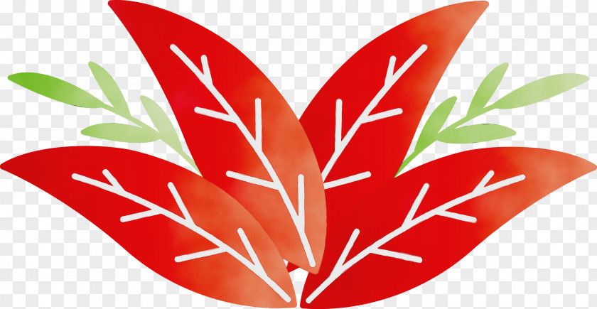 Leaf Vegetable Petal Flower Fruit PNG