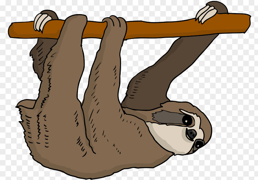Sloth Animal Mammal Image Clip Art Illustration PNG