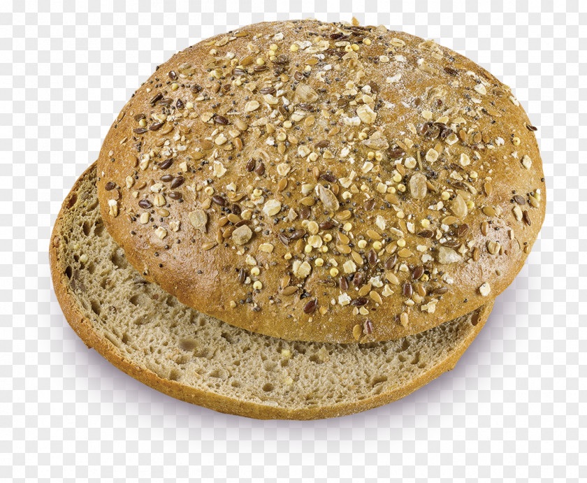 Sugar Graham Bread World Map Cookie PNG