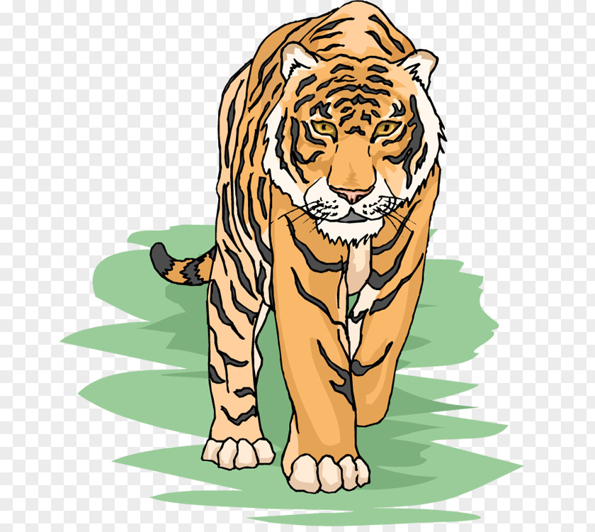 Tiger Habitat Cliparts Siberian Bengal Free Content Clip Art PNG