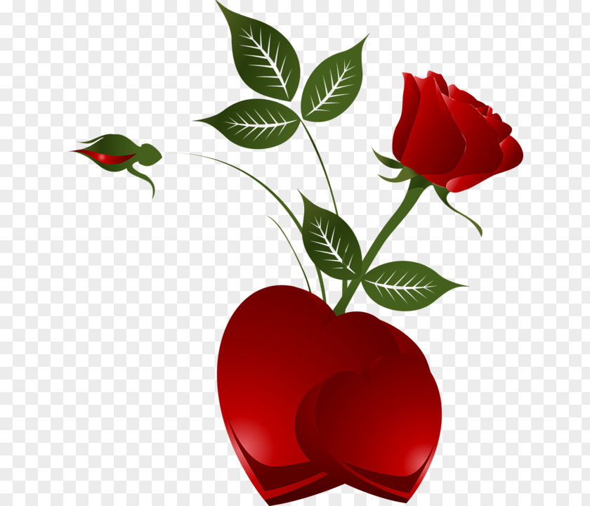 Transparent Decorative Element Red Rose With Heart Clip Art PNG