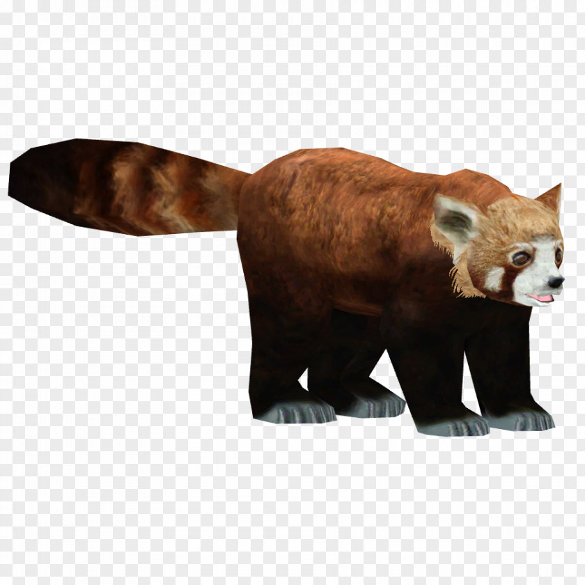 Bear Red Panda Giant Carnivora PNG