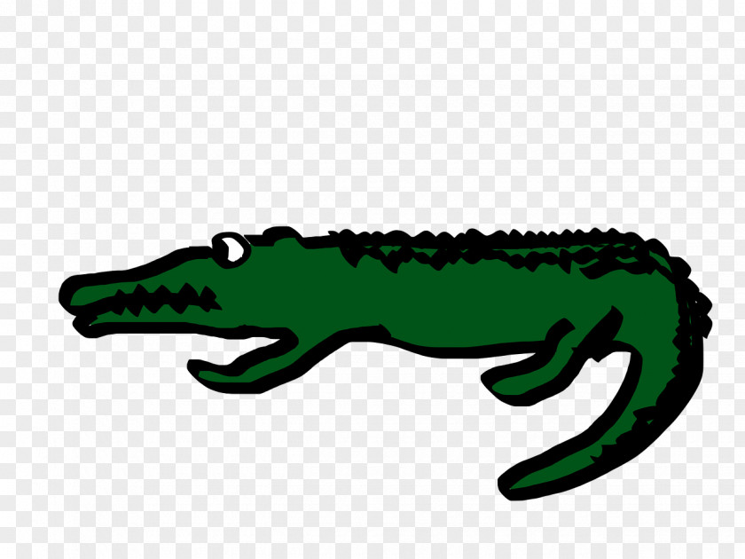Crocodile Alligator Gharial Animation PNG
