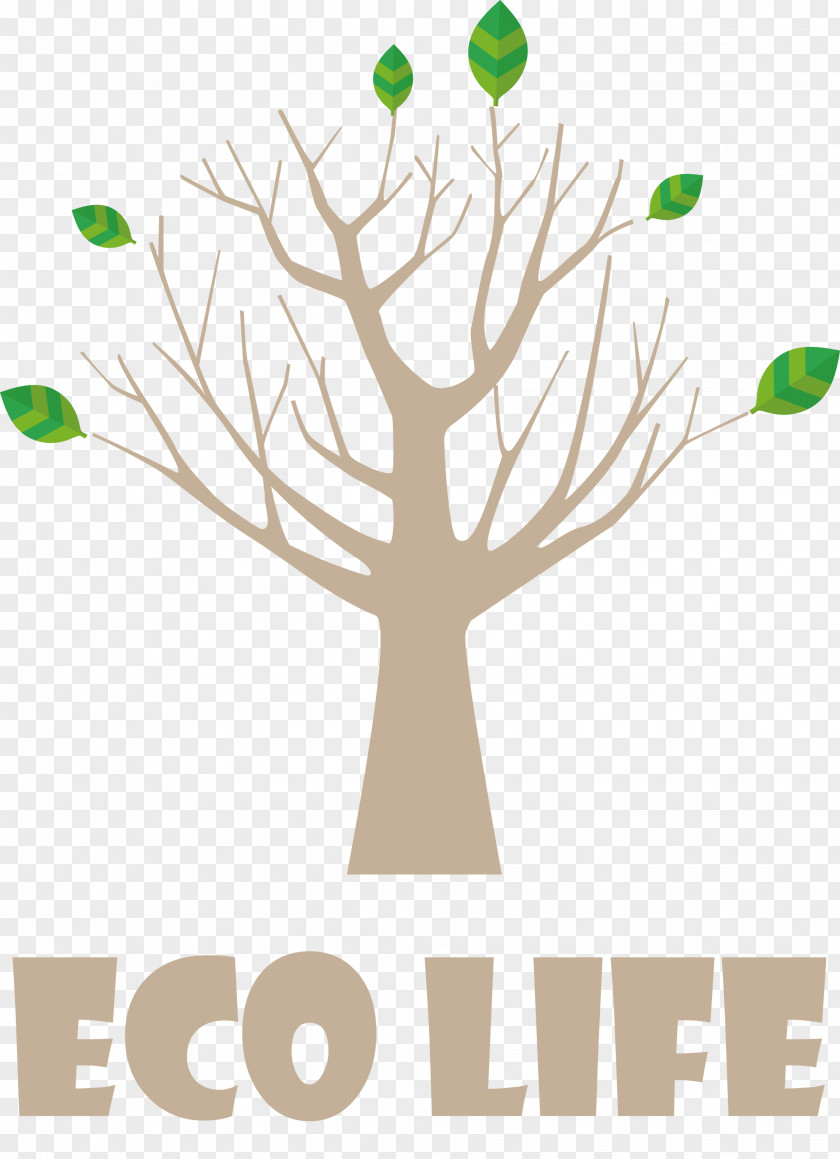 Eco Life Tree PNG