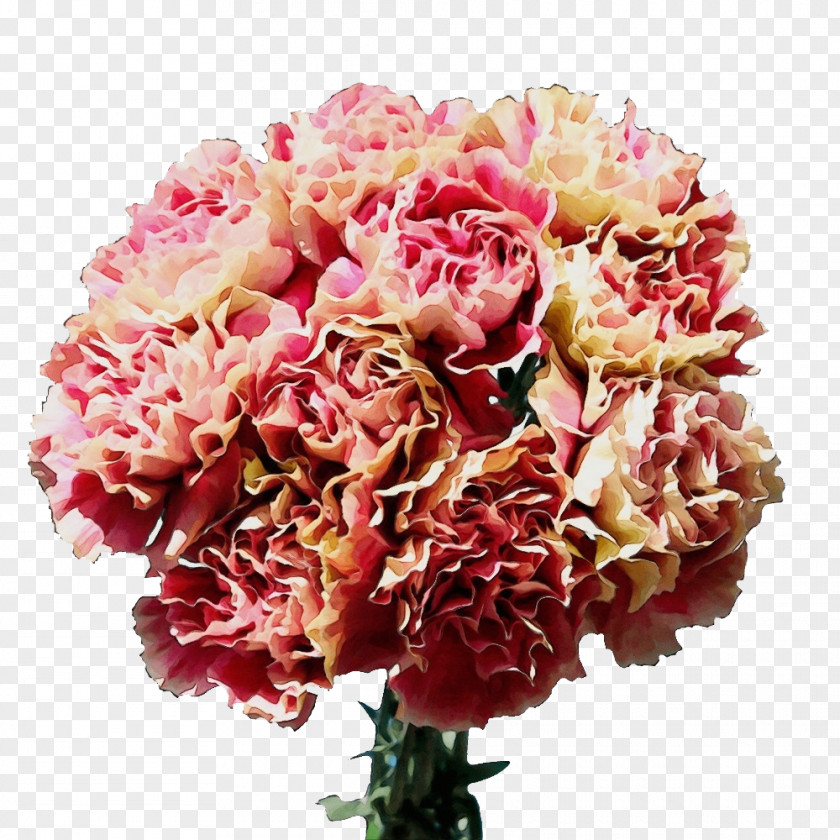 Garden Roses PNG