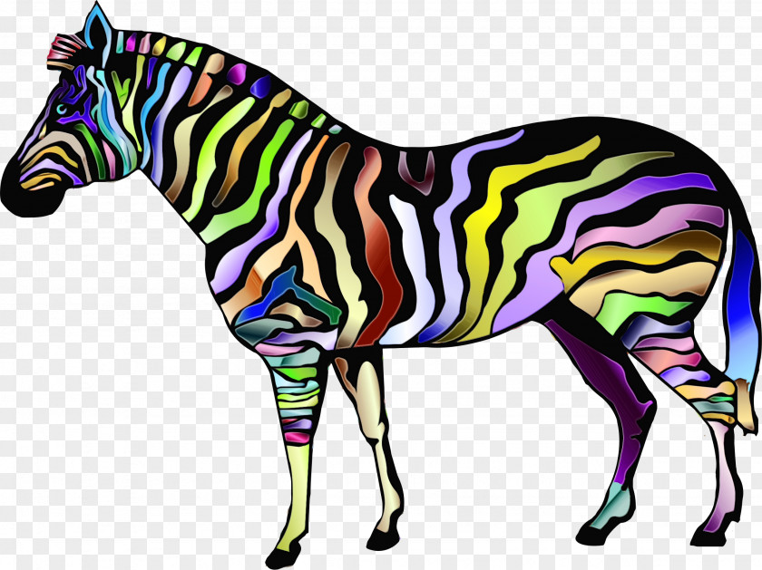 Mare Line Art Zebra Cartoon PNG