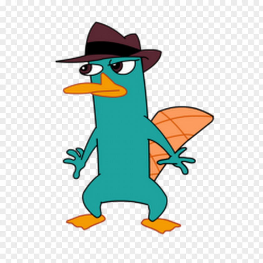 Perry The Platypus Phineas Flynn Ferb Fletcher PNG