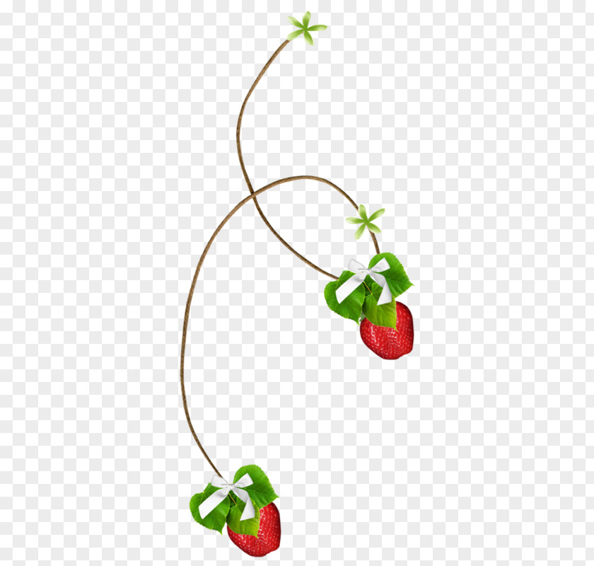 Plant Stem Flower Strawberry Shortcake Cartoon PNG