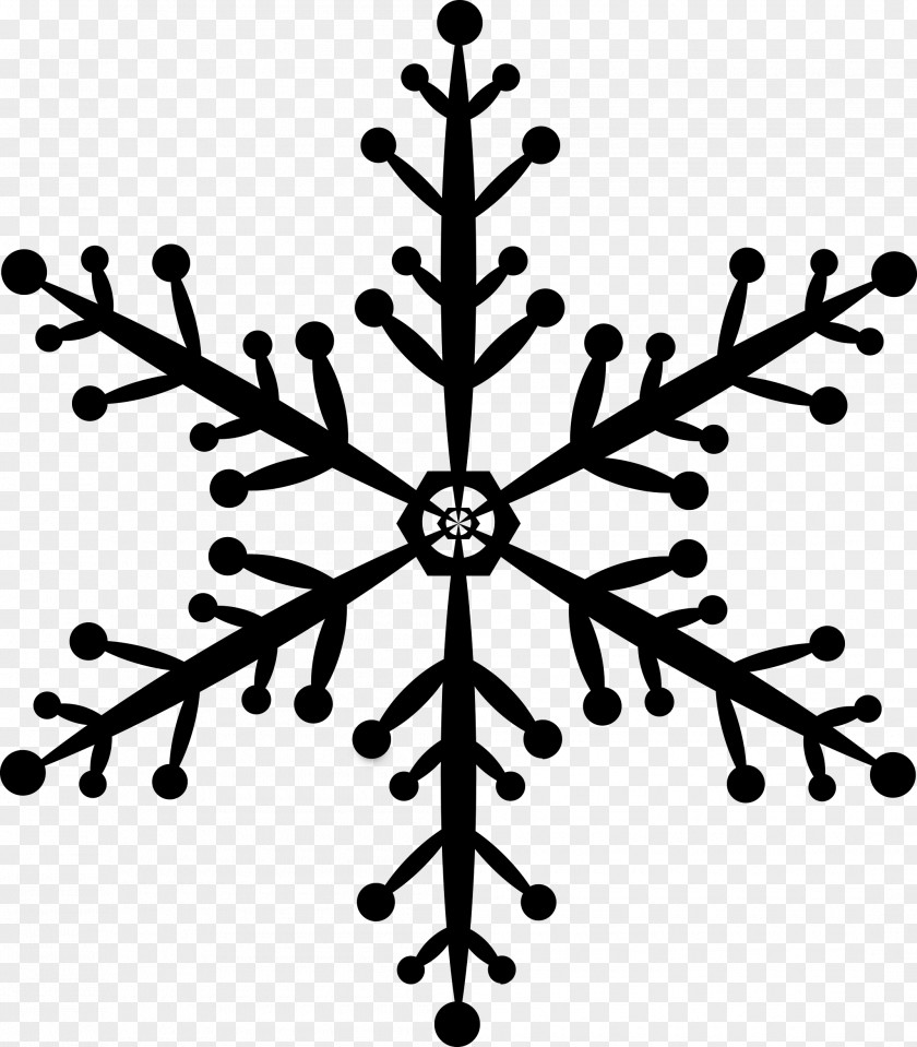 Snowflake Geometry Geometric Shape PNG