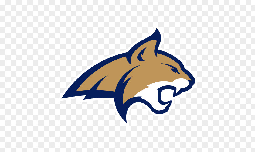 Basketball Bobcat Stadium Montana State Bobcats Women's Football Men's PNG