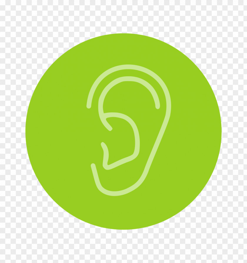 Ear Hearing Auditory System Oreille Humaine PNG