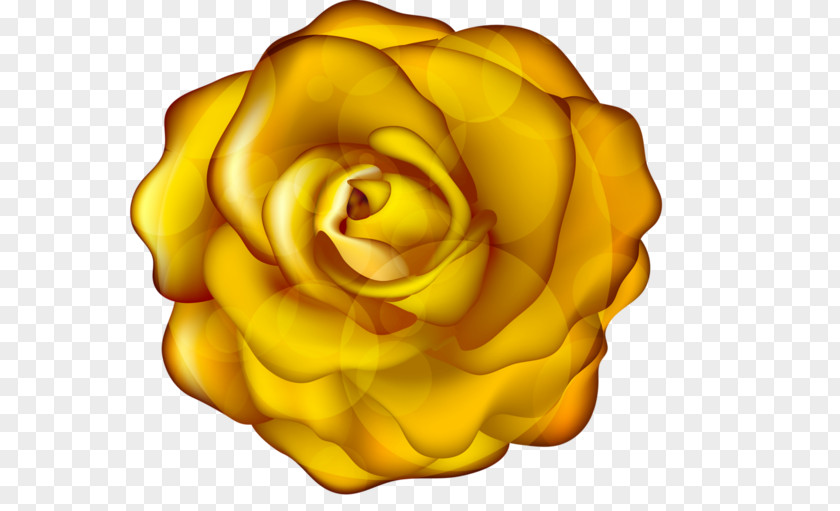 Flower Garden Roses Yellow Clip Art PNG