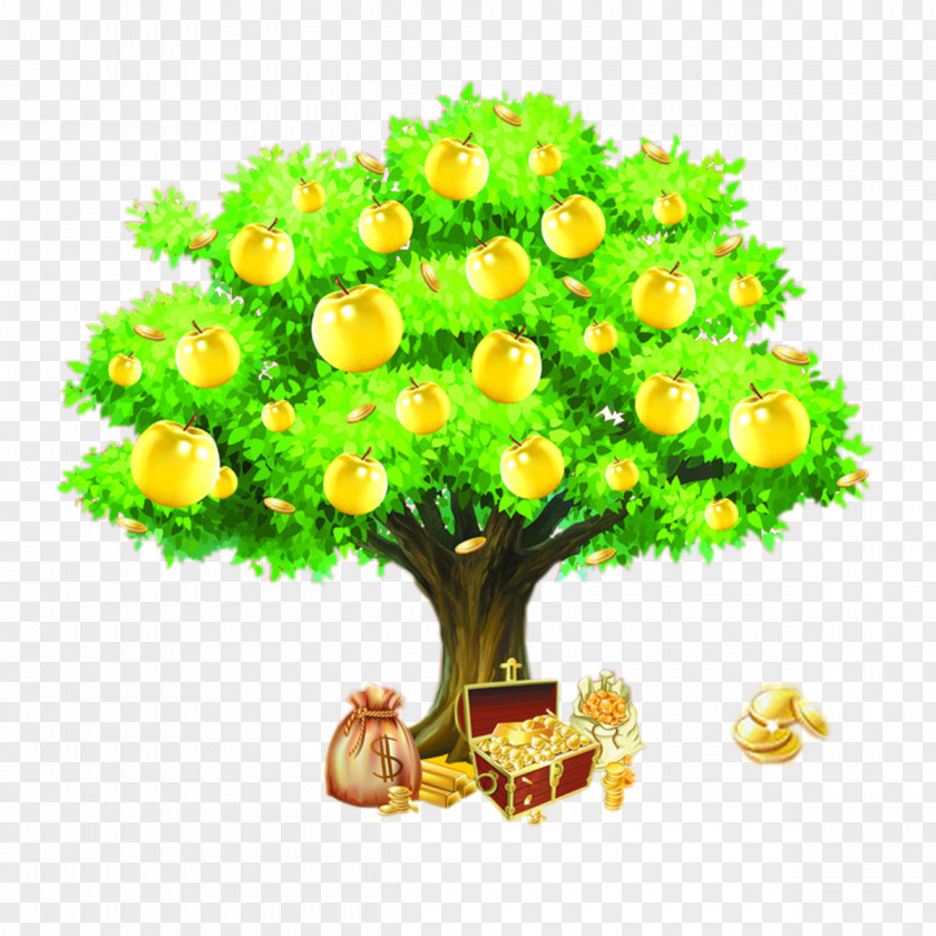 Golden Apple Pachira Gold Good Fortune Element Guiana Chestnut Slogan PNG