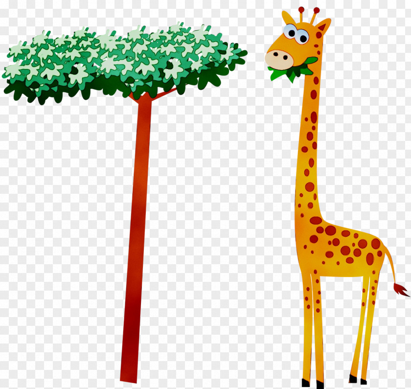 Northern Giraffe Wildlife Safari Neck Zoo PNG