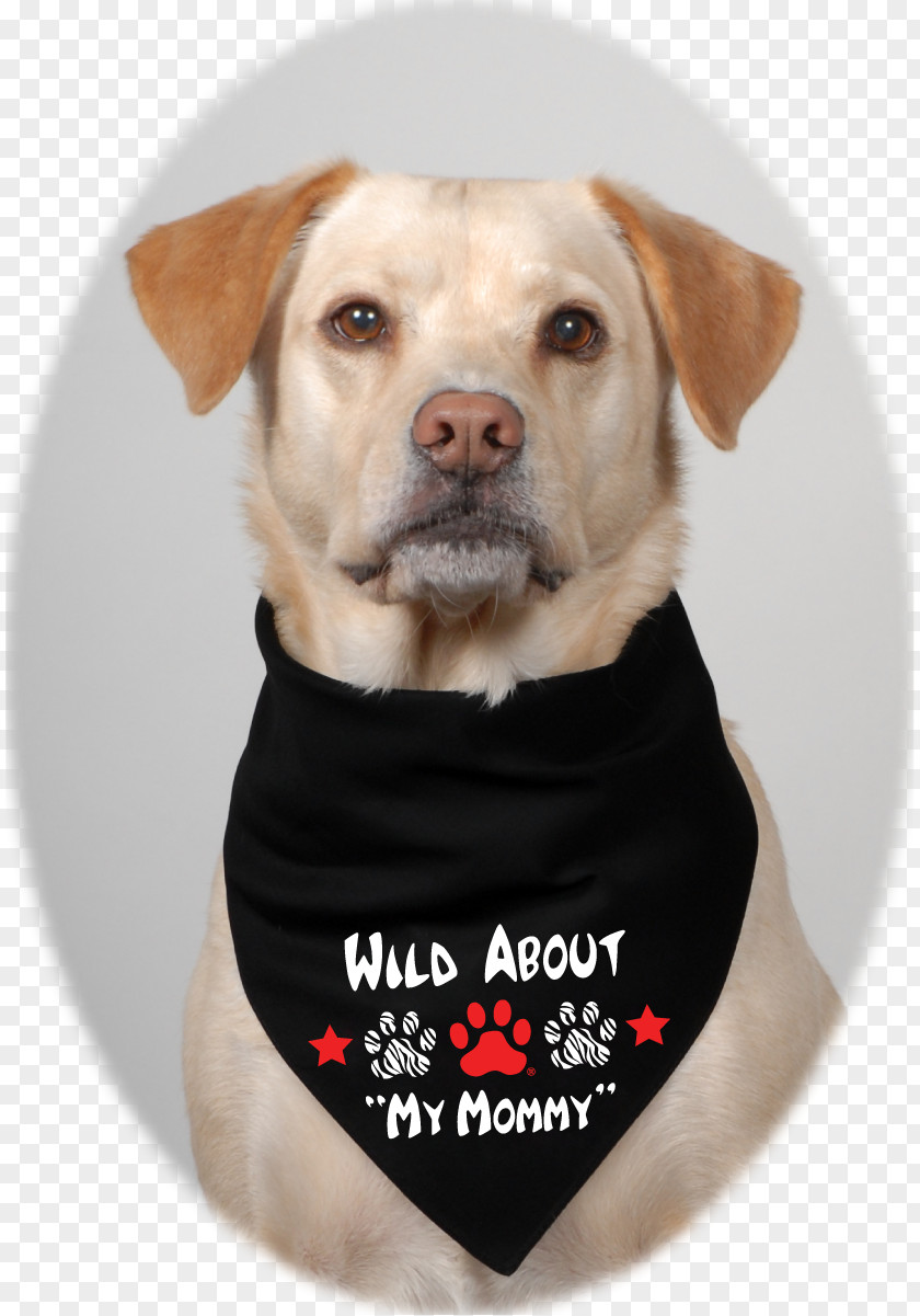 Horse Labrador Retriever Breed Dog Puppy PNG