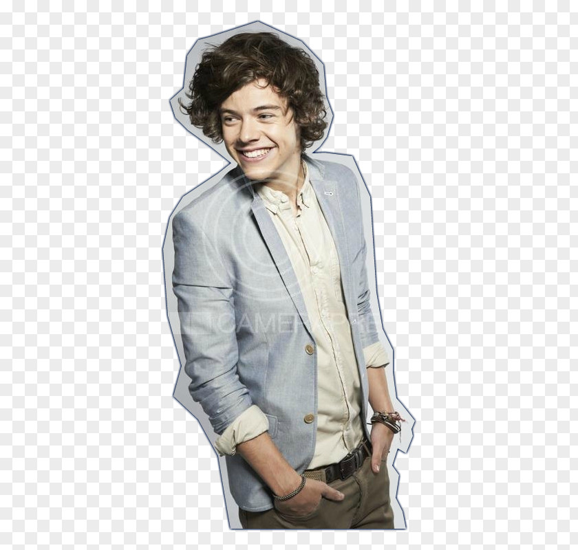 One Direction Harry Styles Photography PNG