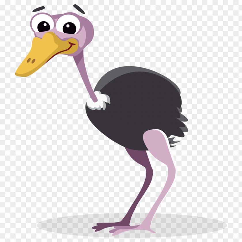 Ostrich Cliparts Common Free Content Clip Art PNG