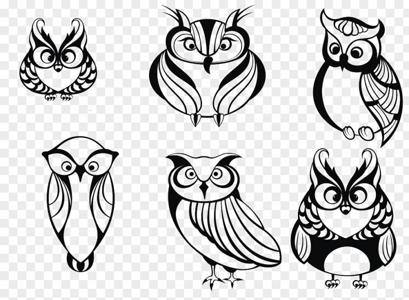 Owl Drawing Animal Clip Art PNG