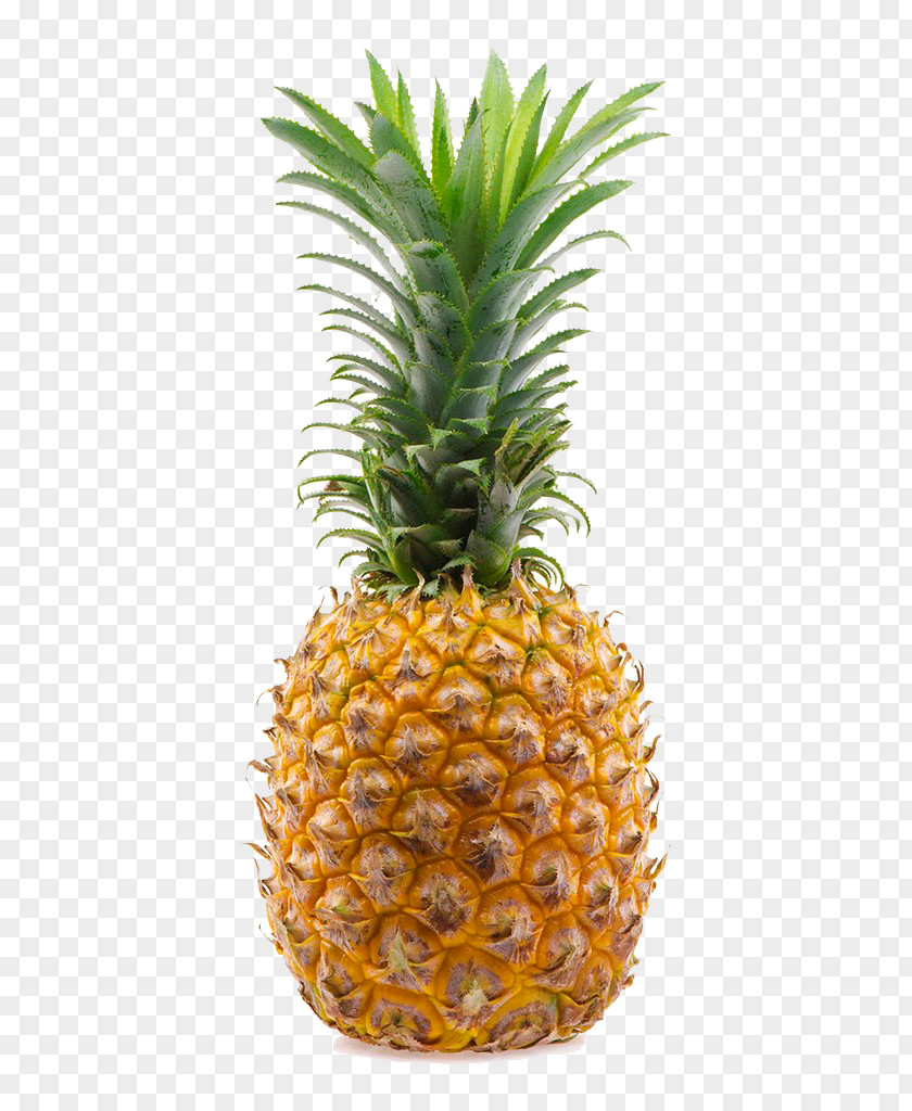 Pineapple Fruit Food PNG