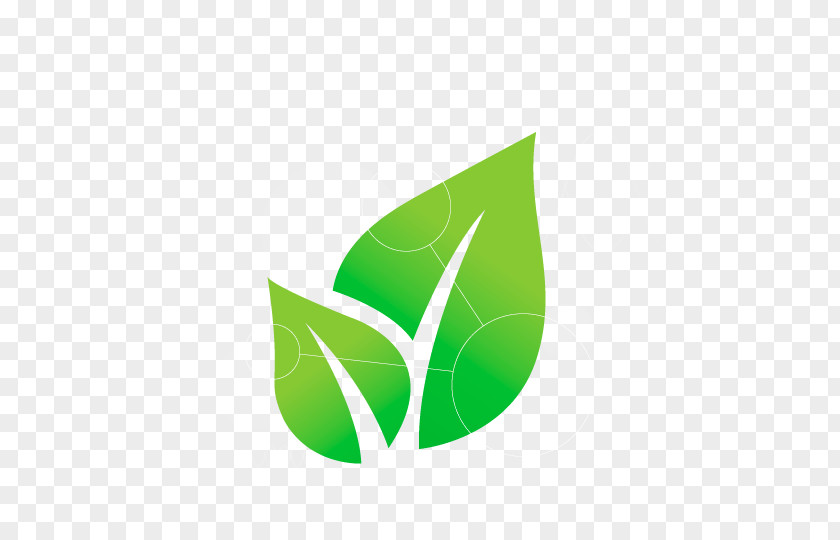 Plant Leaf Logo Green Font PNG
