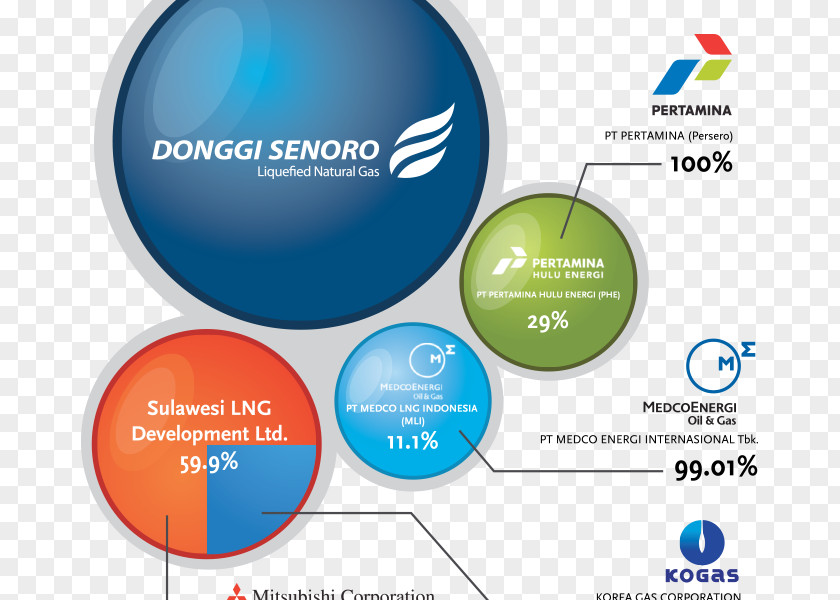 PT Donggi-Senoro LNG Organization Liquefied Natural Gas Corporation Company PNG