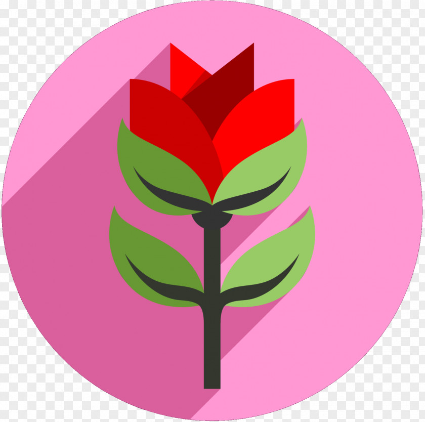 Clip Art Illustration Flowering Plant Leaf Tree PNG