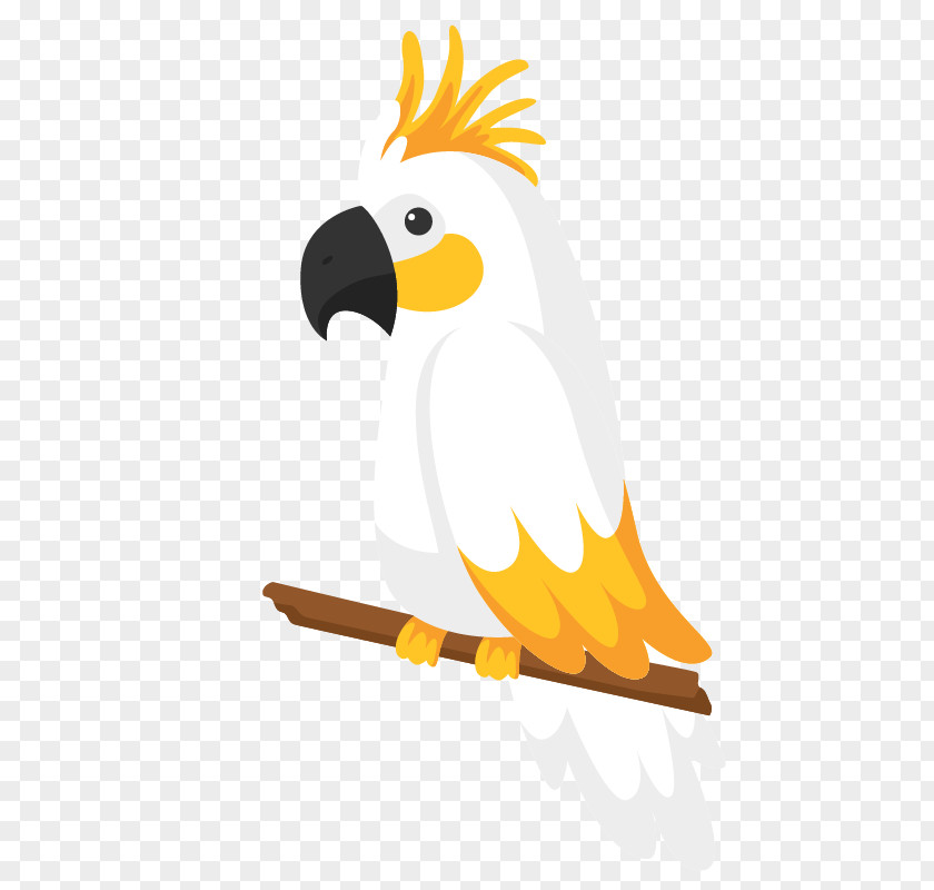 Yellow Parrot Bird Euclidean Vector True PNG