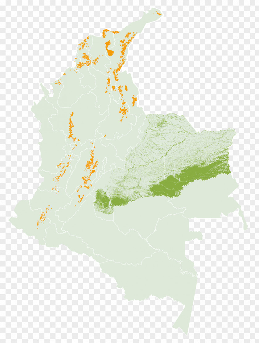 Coffee Colombia & Co Map Roasting PNG