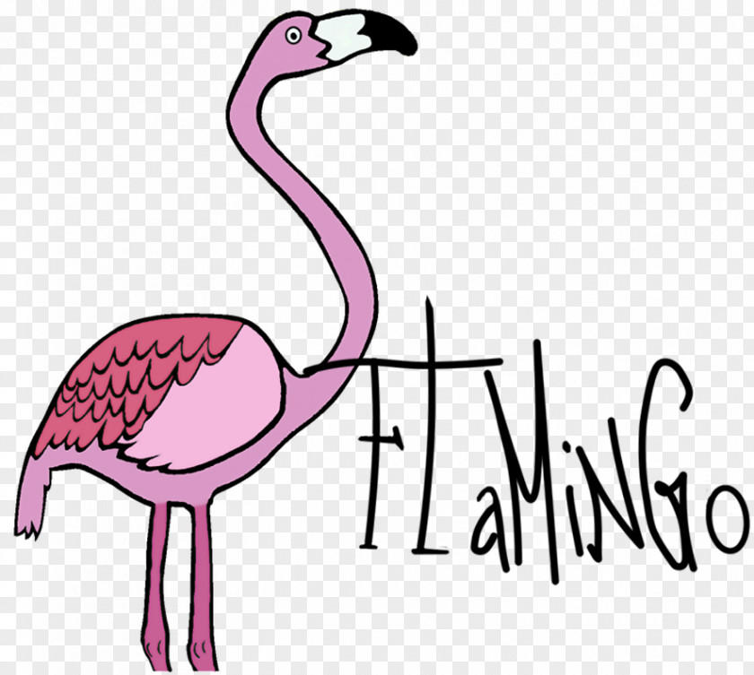 Flamingo Party Neck Shirt Line Art DeviantArt Clip PNG