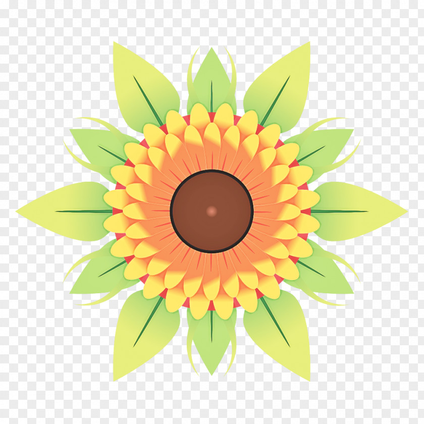 Floral Design PNG