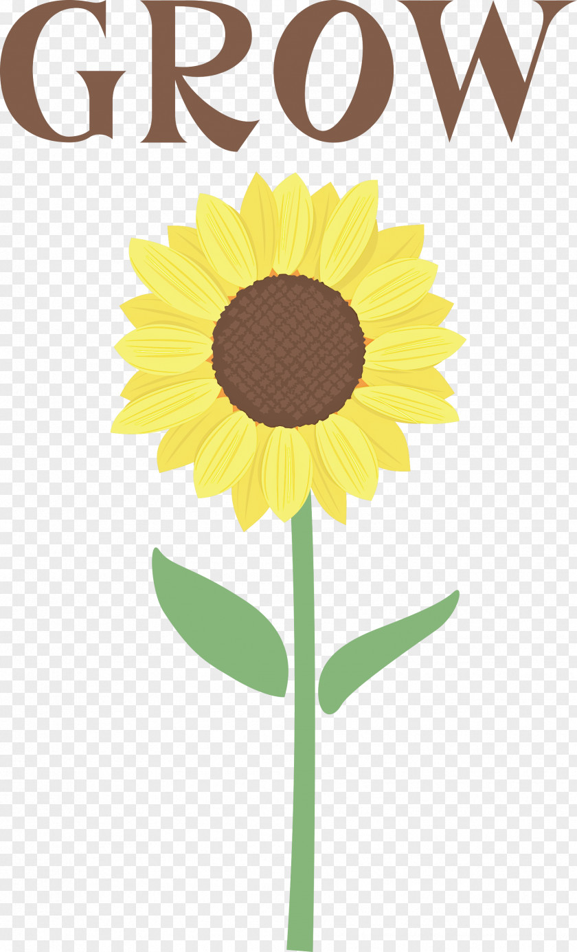 GROW Flower PNG