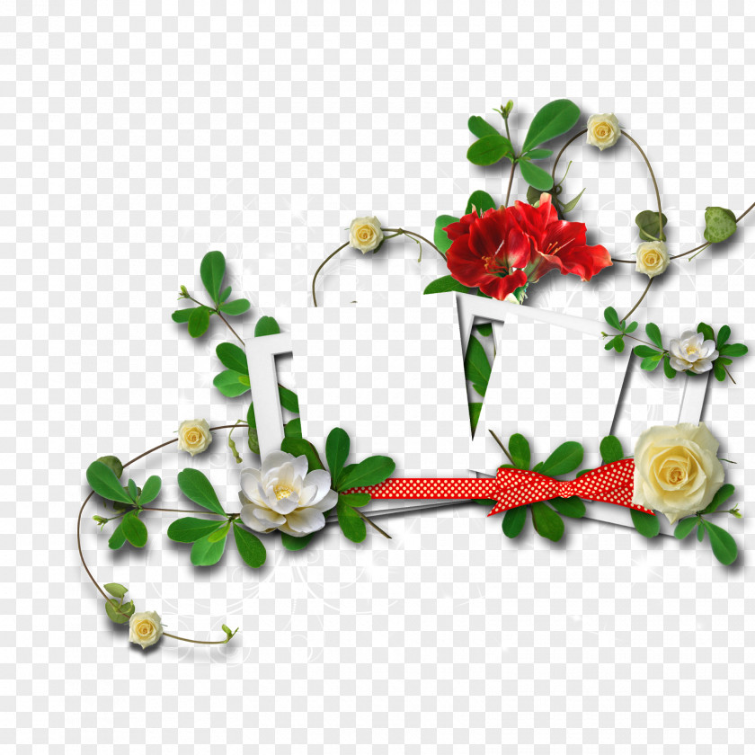 Hantel Picture Frames Floral Design PNG