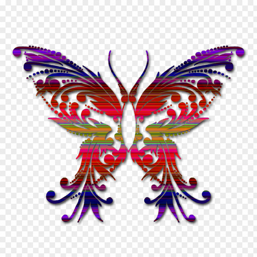 Papillon Butterflies And Moths Drawing PNG