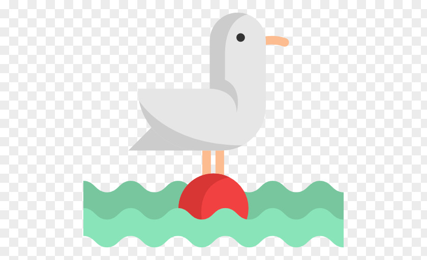 Seagull Gulls Bird Duck Clip Art PNG