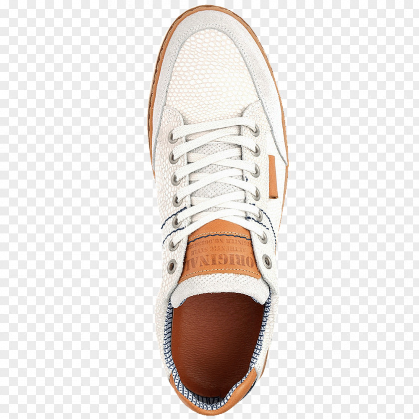 Sneakers Touch Of Modern Fashion Shoe Leather PNG