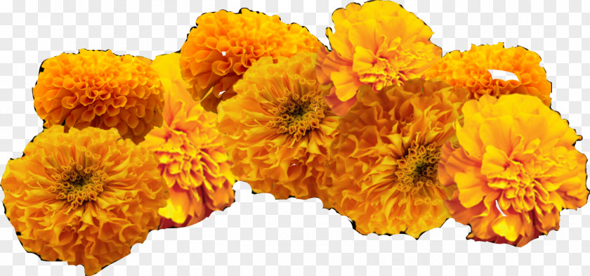 Avenge Background Mexican Marigold Day Of The Dead Clip Art Image Ofrenda PNG