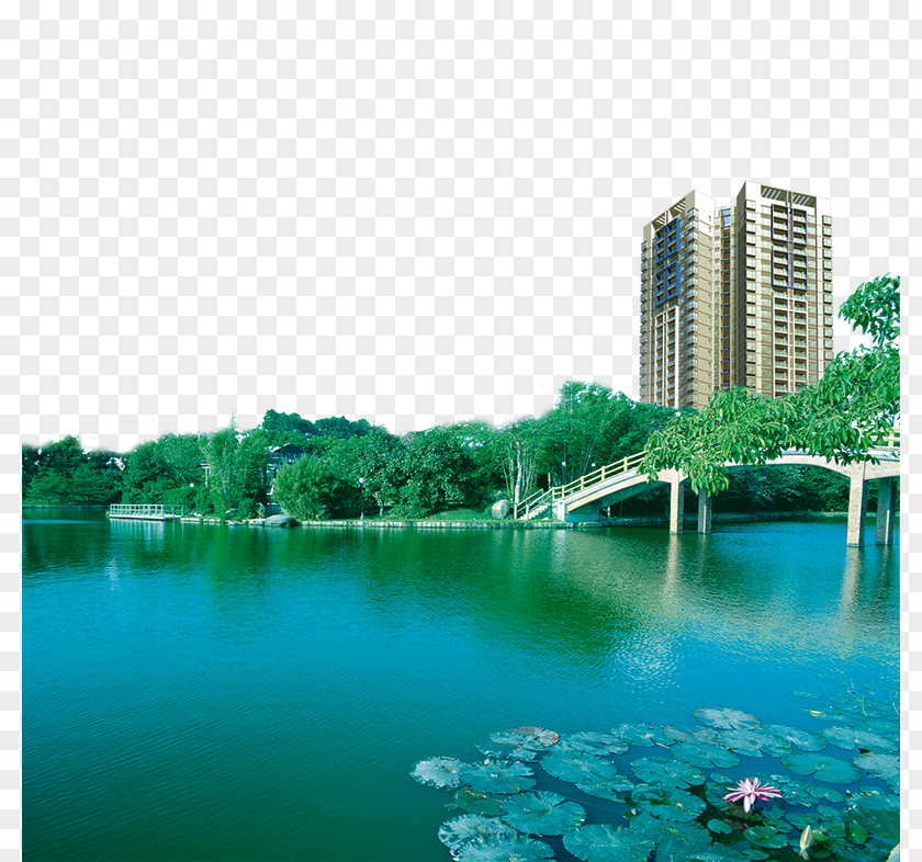 Green Lake Real Estate Chaohu Dalian Zhuhai Ningxiang Hefei PNG