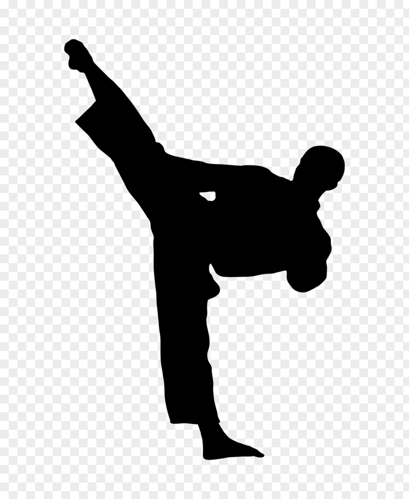 Karate Kick Martial Arts Taekwondo Clip Art PNG