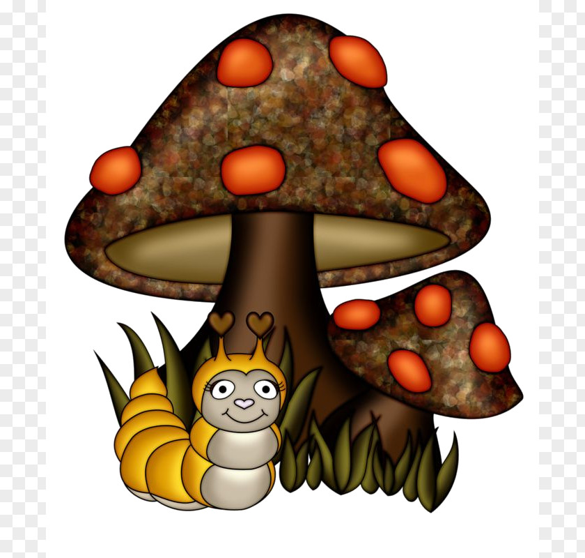 Mushroom Fungus Drawing Clip Art PNG