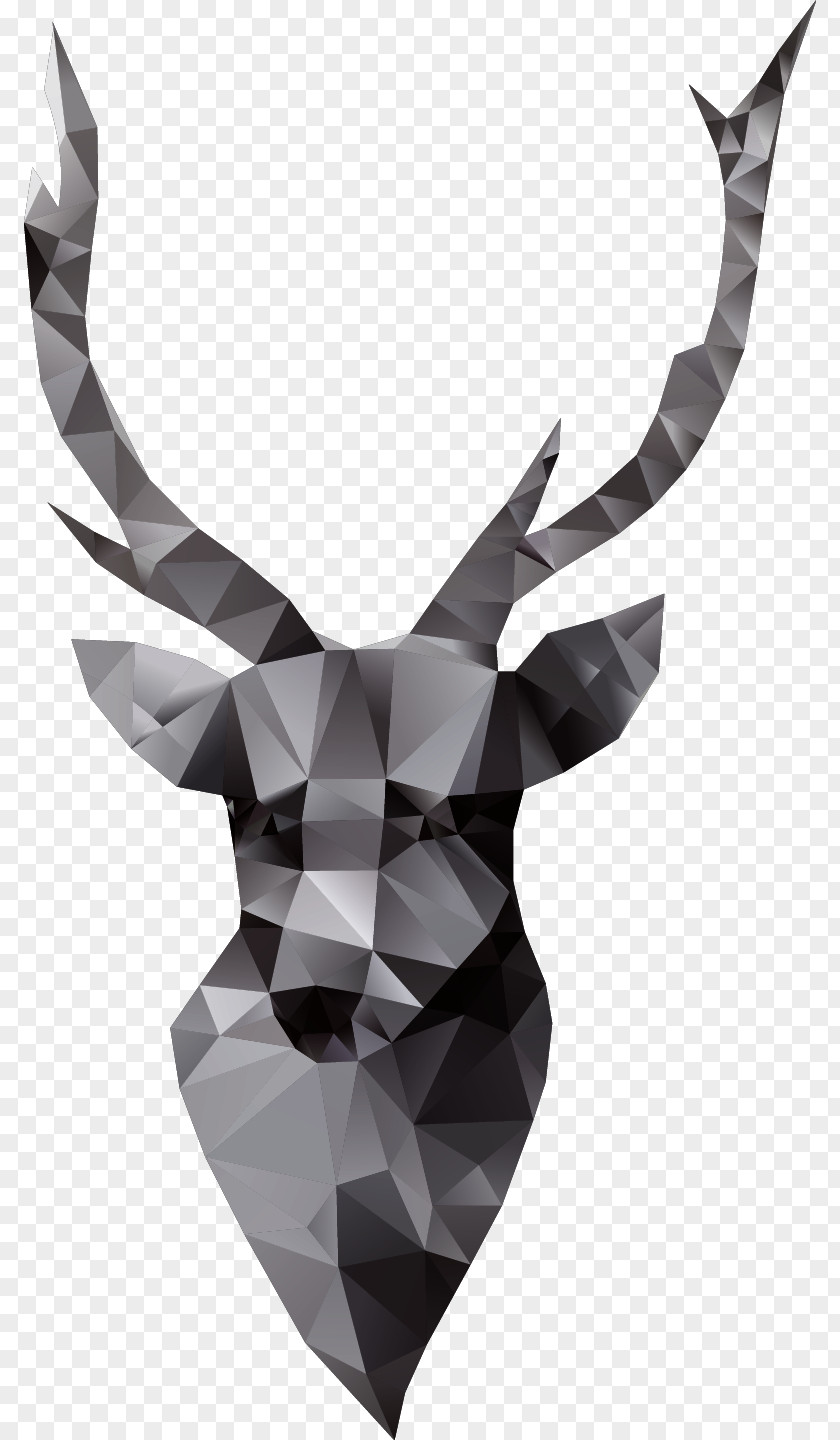 Vector Goat Paper Euclidean PNG