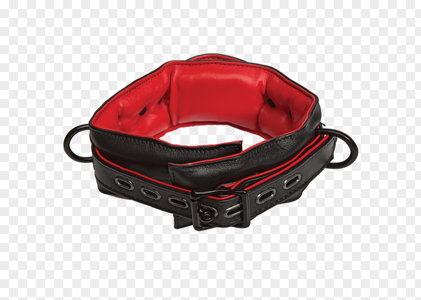 Belt Strap Personal Protective Equipment PNG