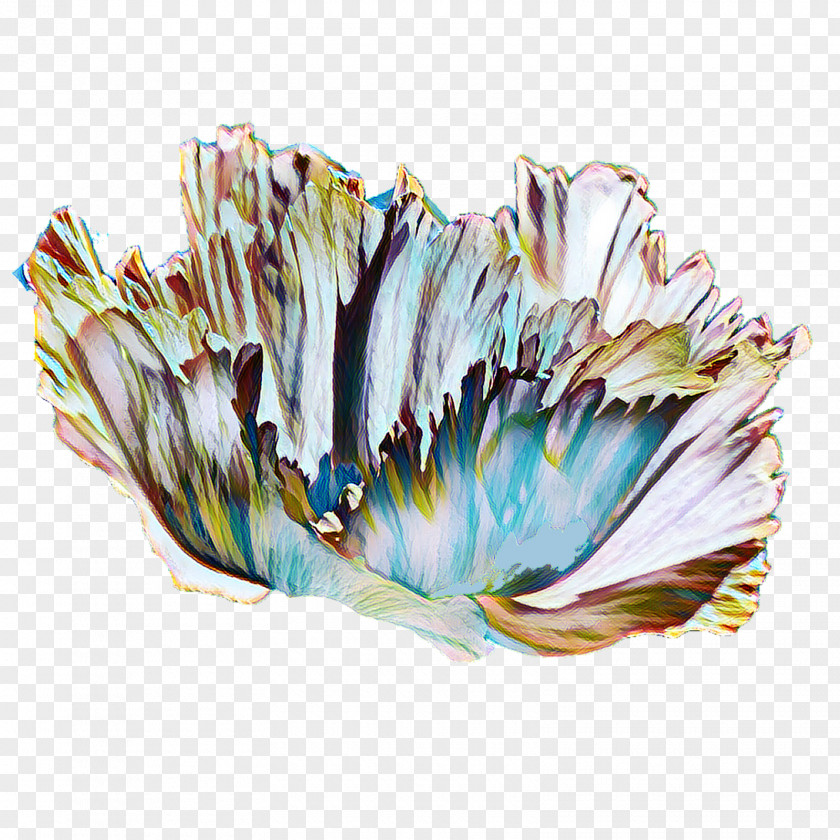 Cobalt Feather PNG