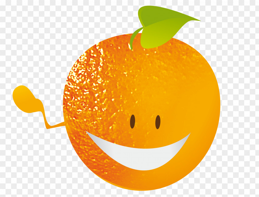 Smiley Mandarin Orange Desktop Wallpaper Diet Food PNG