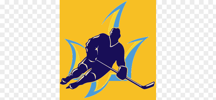 Ukrainian Hockey Championship League Bilyi Bars National Kontinental PNG