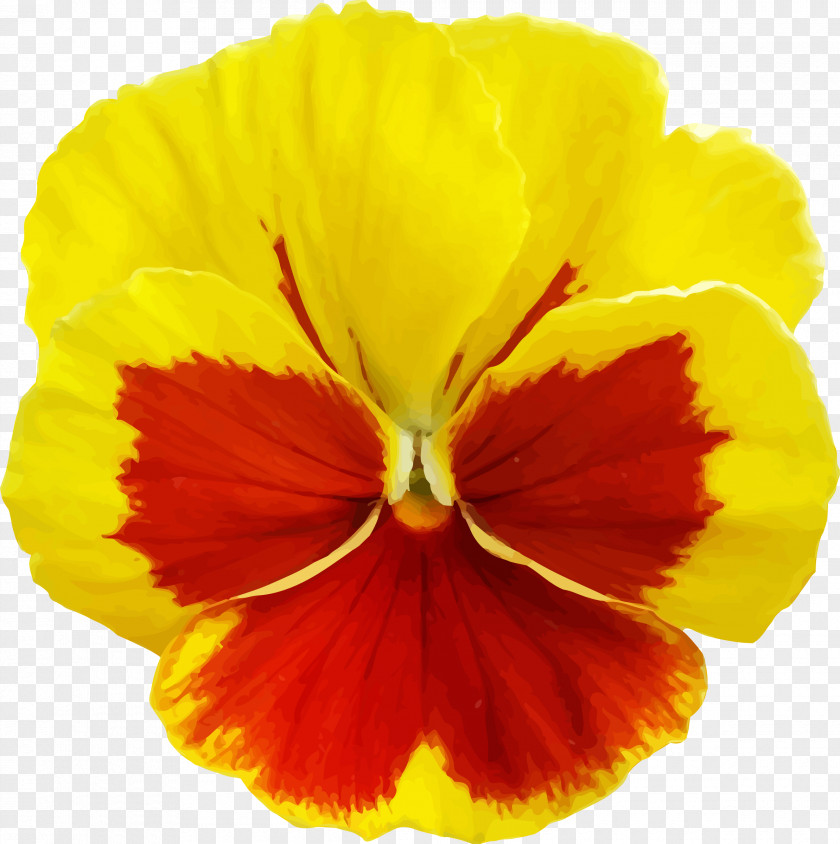 Pansy Violet Clip Art PNG