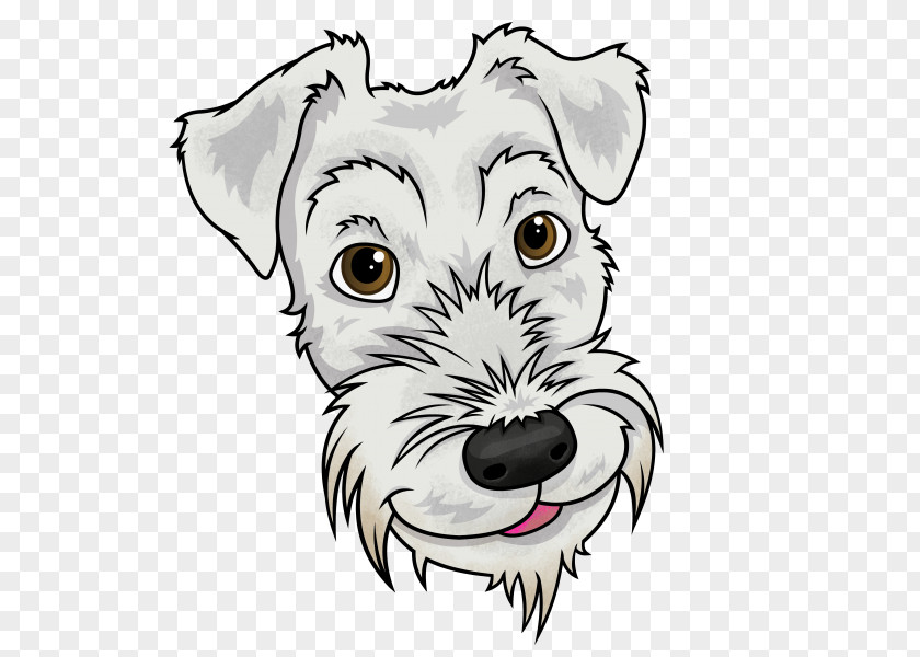 Puppy Miniature Schnauzer Dog Breed /m/02csf PNG