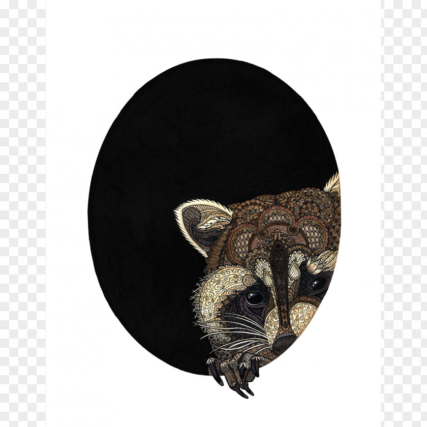 Raccoon Squirrel Bandit Drawing PNG