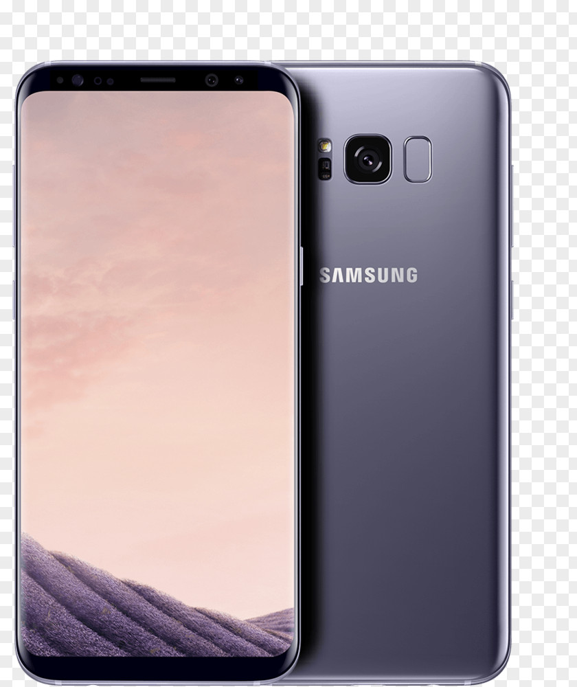 Samsung Galaxy S8+ Orchid Gray LTE Telephone PNG